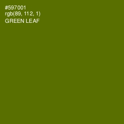 #597001 - Green Leaf Color Image